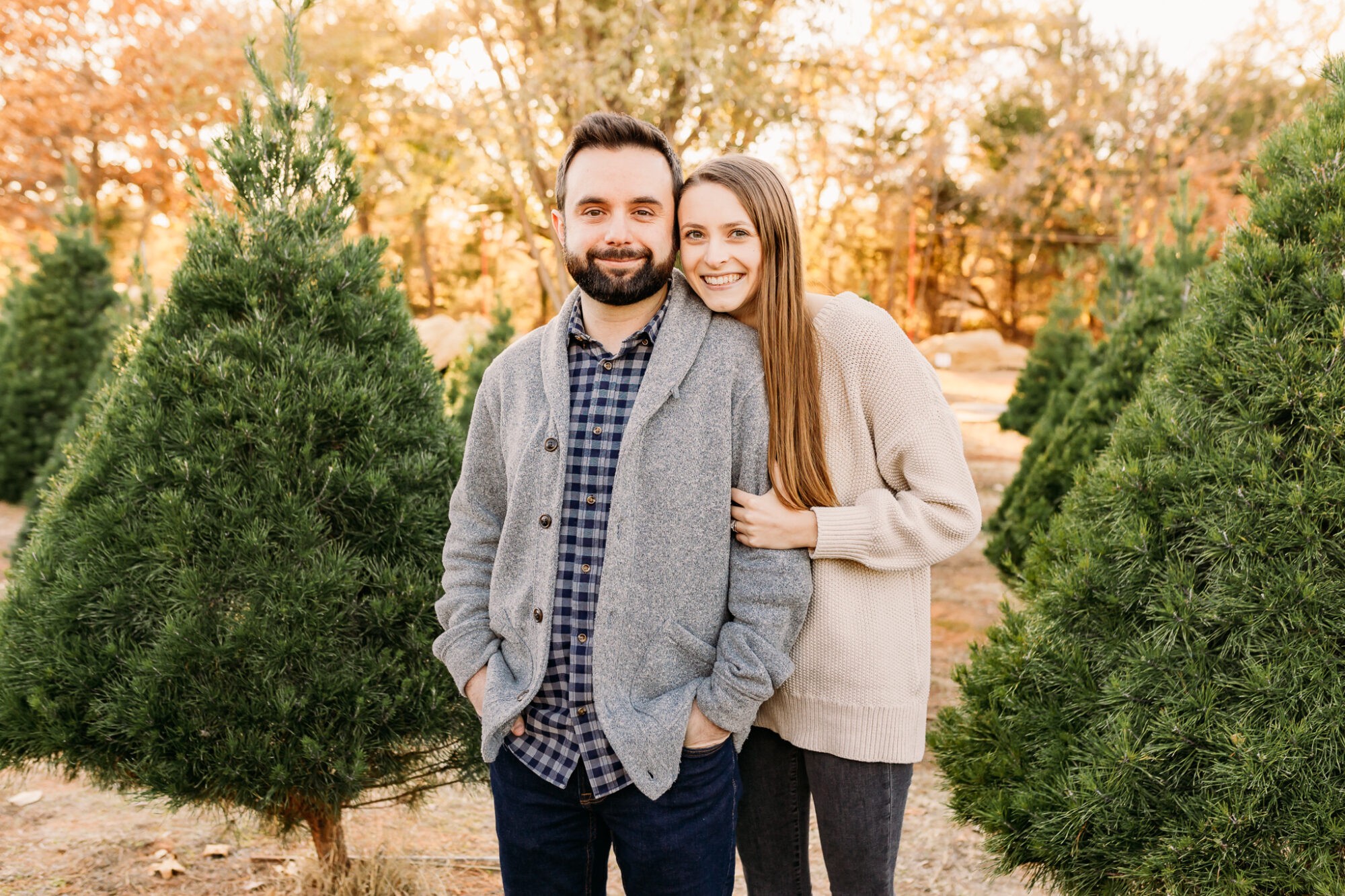what is a mini session at wells christmas tree farm 2022
