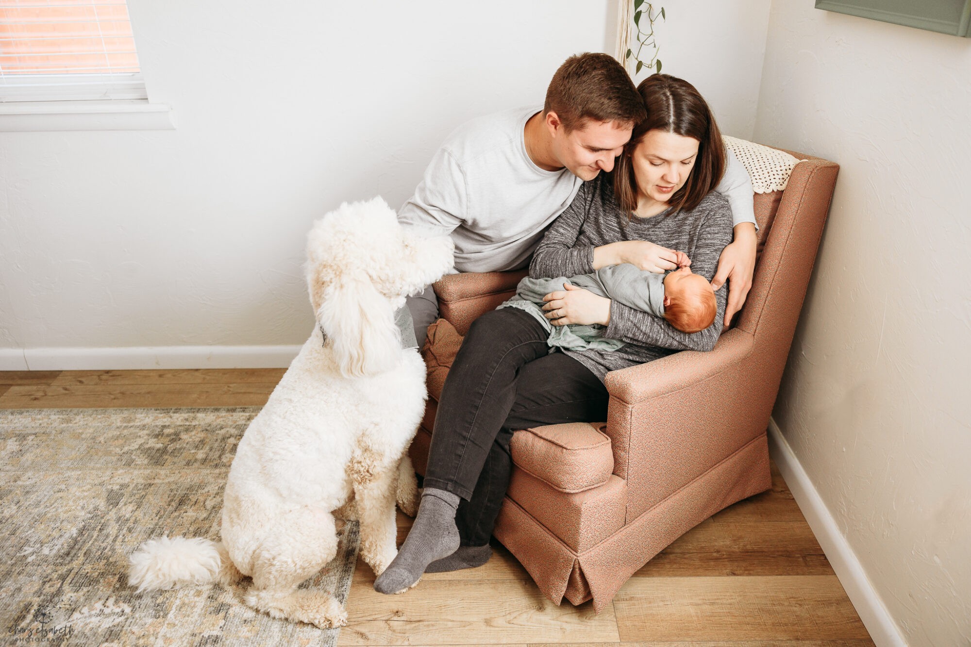 A couple and their giant poodle sit during their OKC newborn photo session.